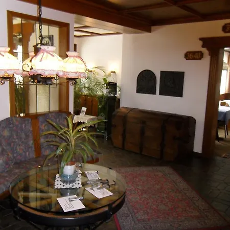 Traube Hotel 3*