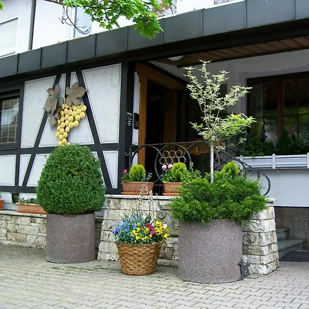 Traube Kernen